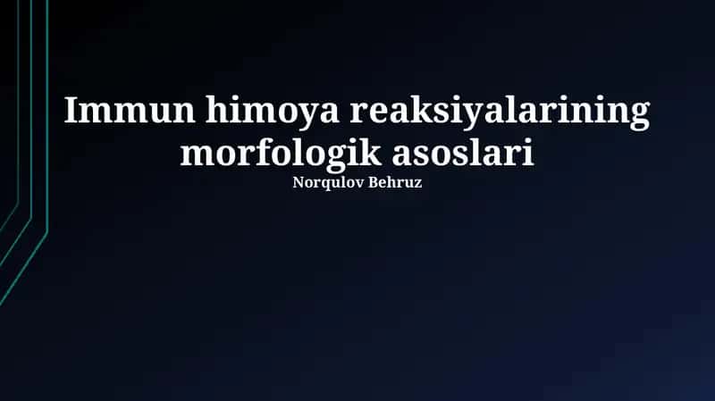 Immun himoya reaksiyalarining morfologik asoslari