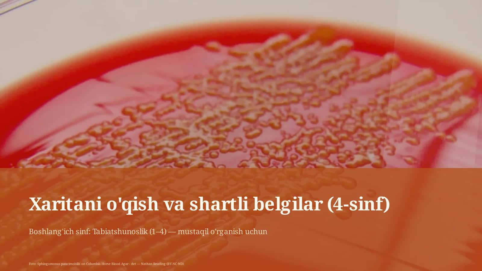 Xaritani o'qish va shartli belgilar (4-sinf)