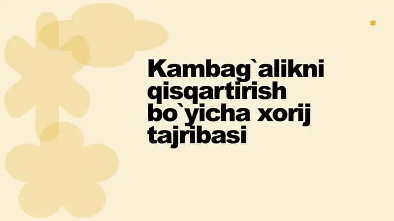 Kambag`alikni qisqartirish bo`yicha xorij tajribasi