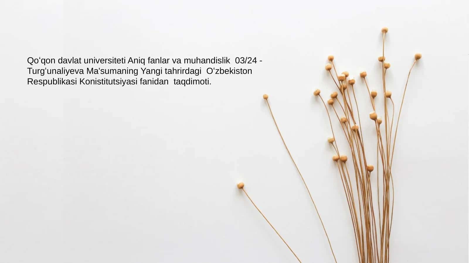 Yangi tahrirdagi Oʻzbekiston Respublikasi Konistitutsiyasi fanidan taqdimoti