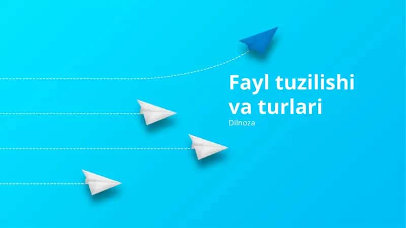 Fayl tuzilishi va turlari