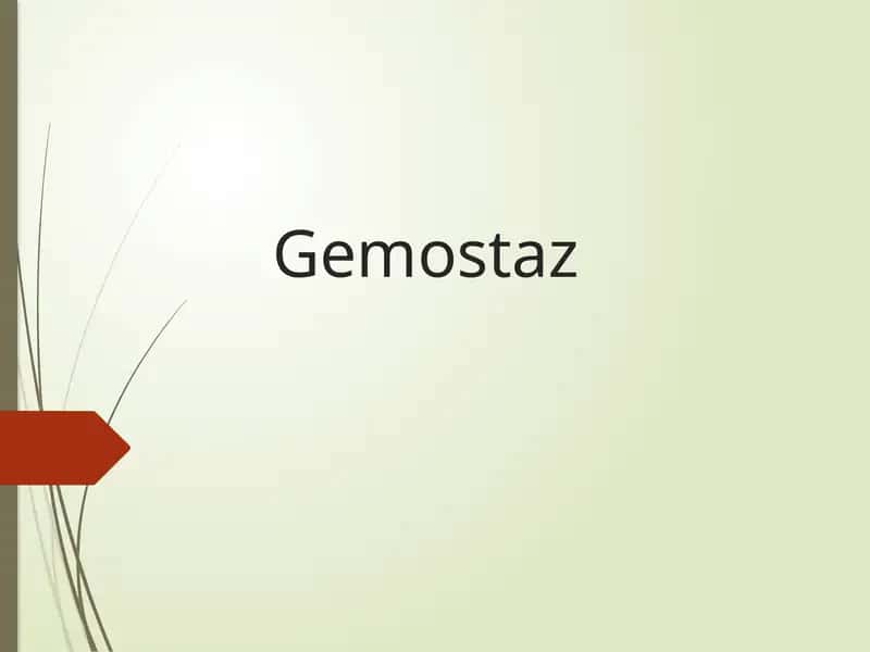 Gemostaz