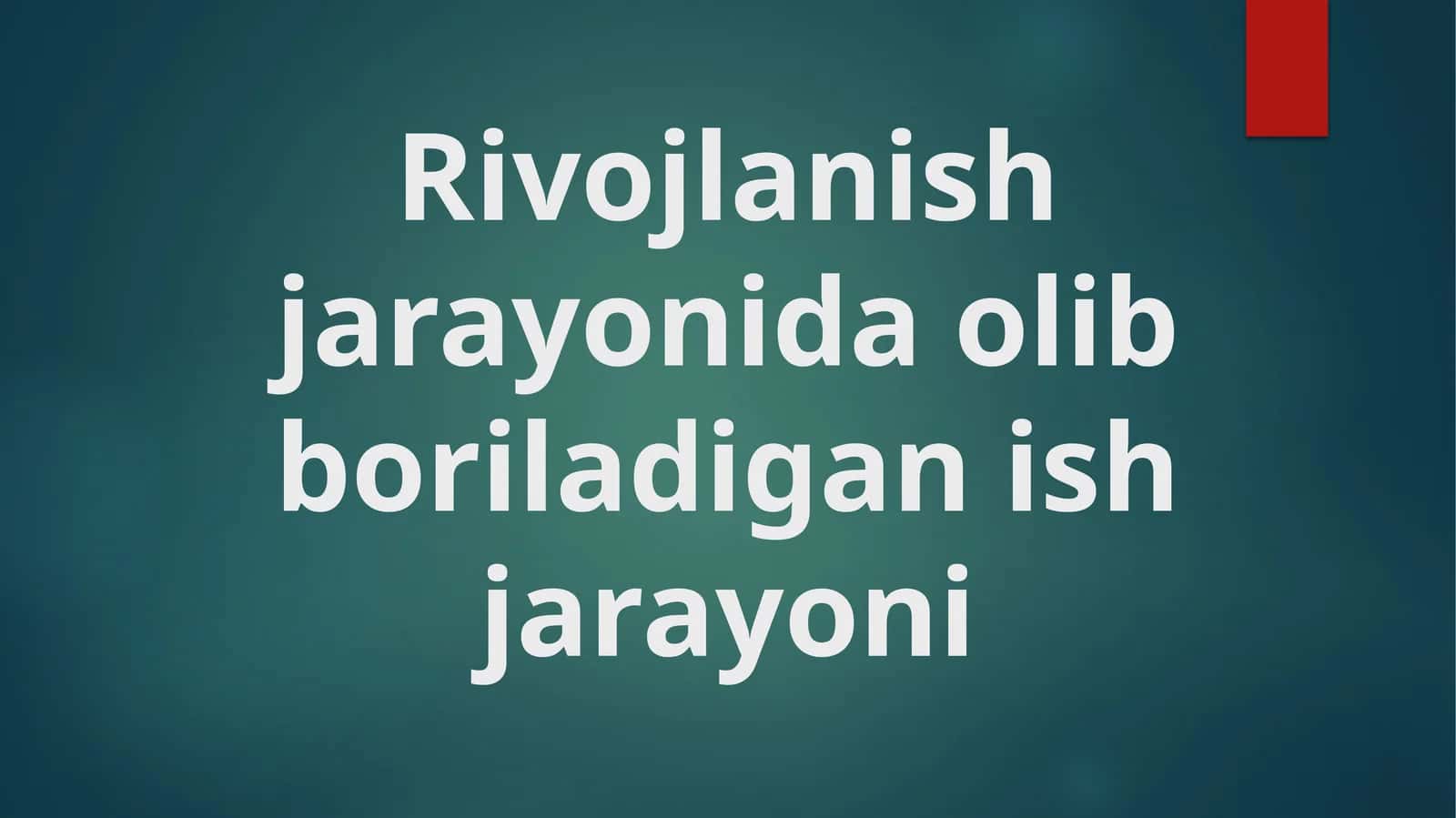 Rivojlanish jarayonida olib boriladigan ish jarayoni