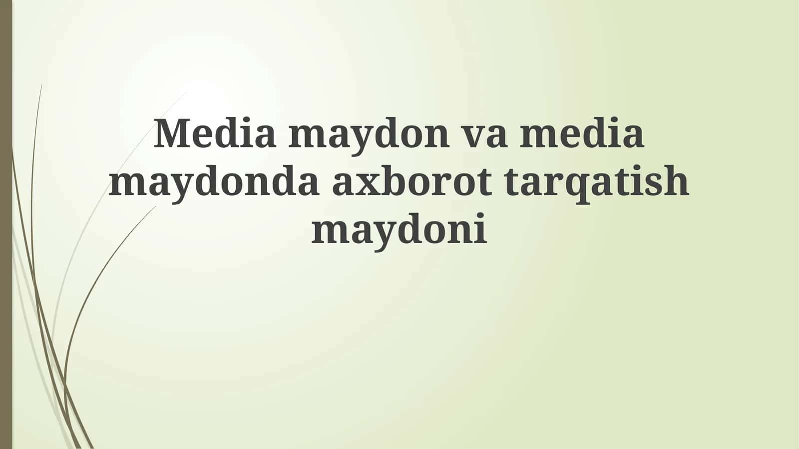 Ommaviy axborot vositalari maydoni