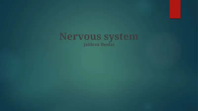 Divisions and Structures of the Nervous System