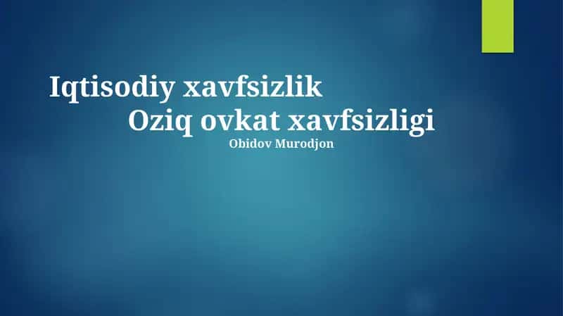 Iqtisodiy Xavfsizlik