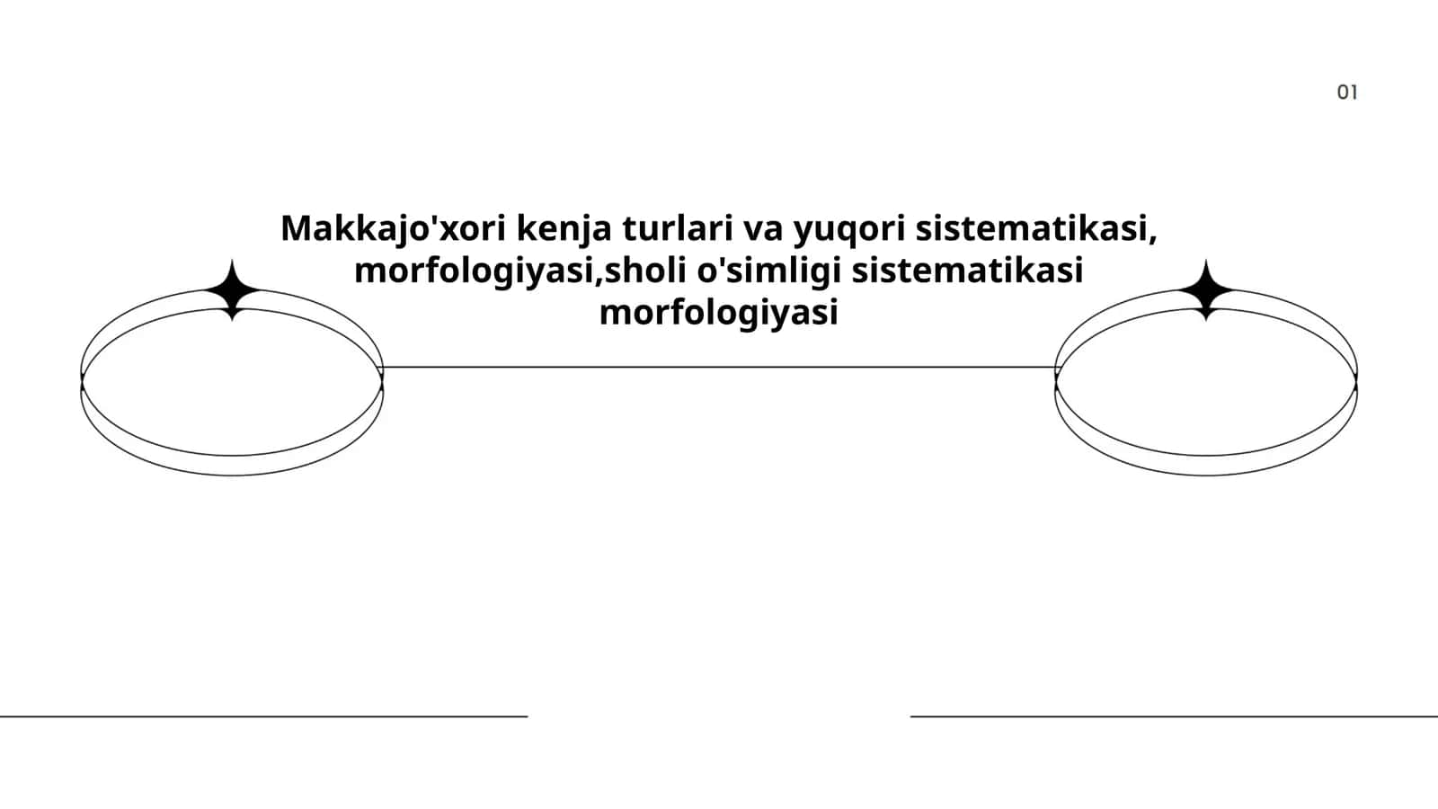 Makkajoʻxori kenja turlari va yuqori sistematikasi, morfologiyasi, sholi oʻsimligi sistematikasi morfologiyasi