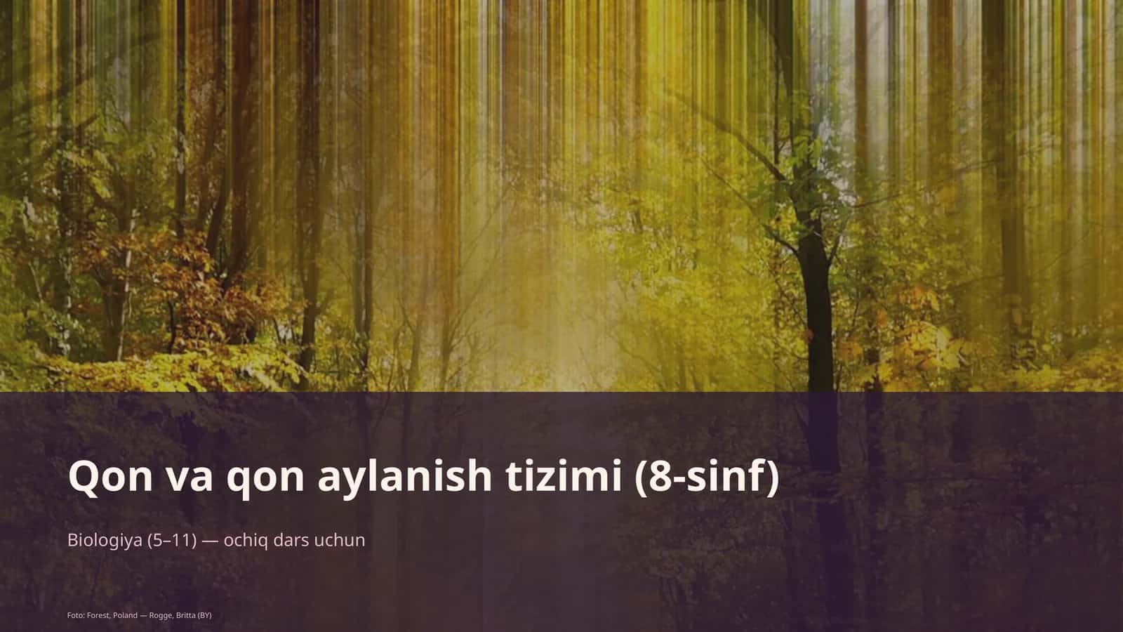 Qon va qon aylanish tizimi (8-sinf)