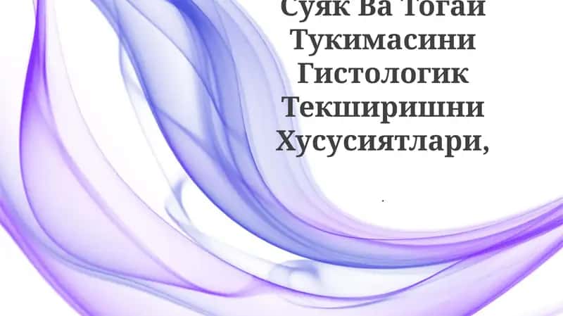 Суяк Ва Тогай Тукимасини Гистологик Текширишни Хусусиятлари