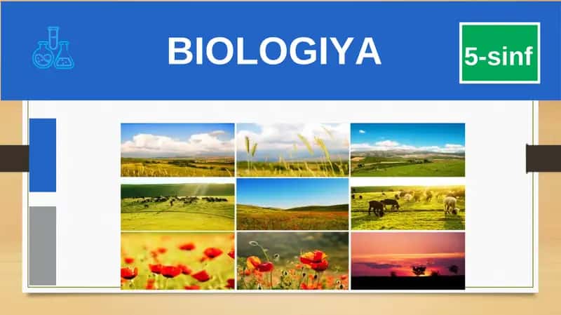 BIOLOGIYA 5-sinf MUSTAHKAMLASH