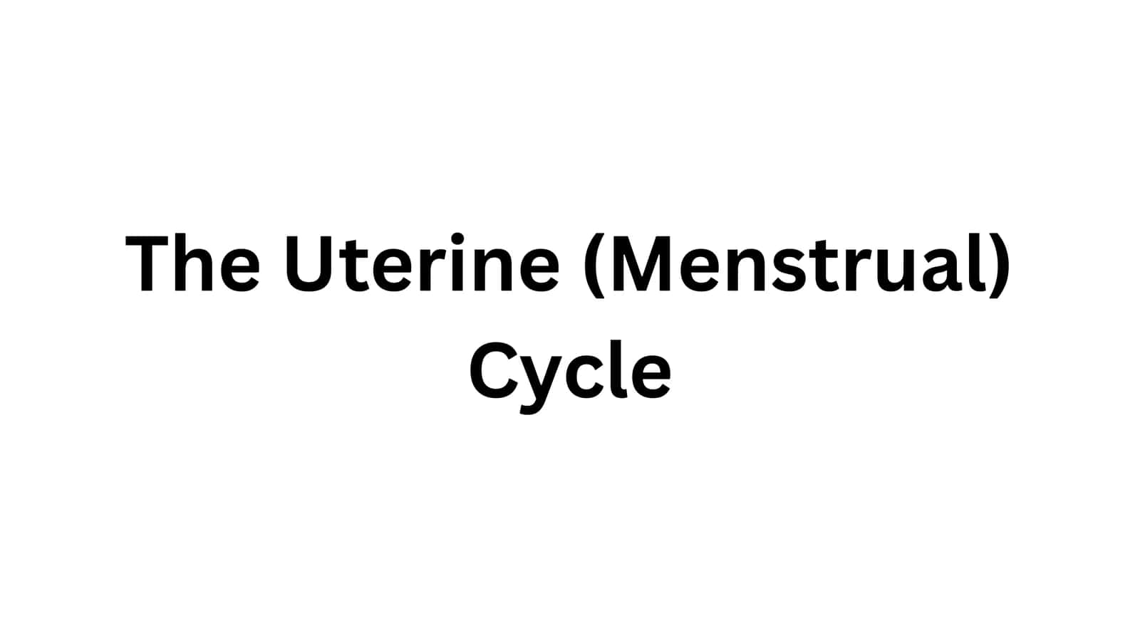 The Uterine (Menstrual) Cycle