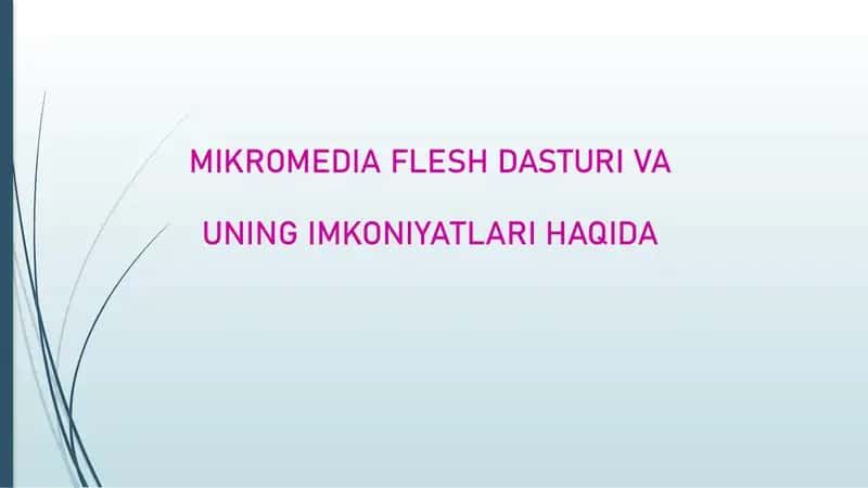MIKROMEDIA FLESH DASTURI VA