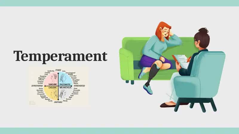 Temperament
