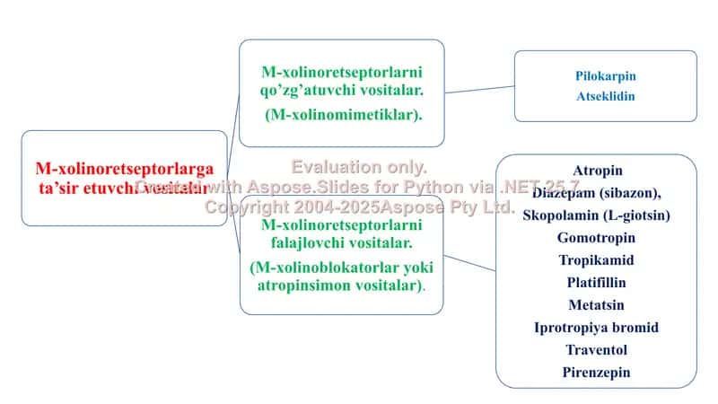 M- xolinergik va antixolinesteraz dori vositalar farmakologiyasi. Ko'rgazma, 8 bet.