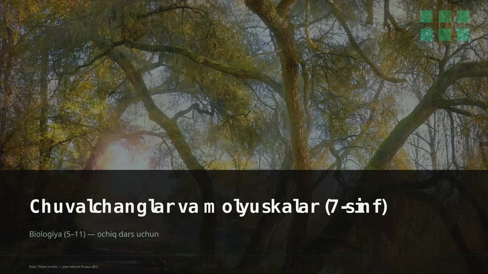 Chuvalchanglar va molyuskalar (7-sinf)