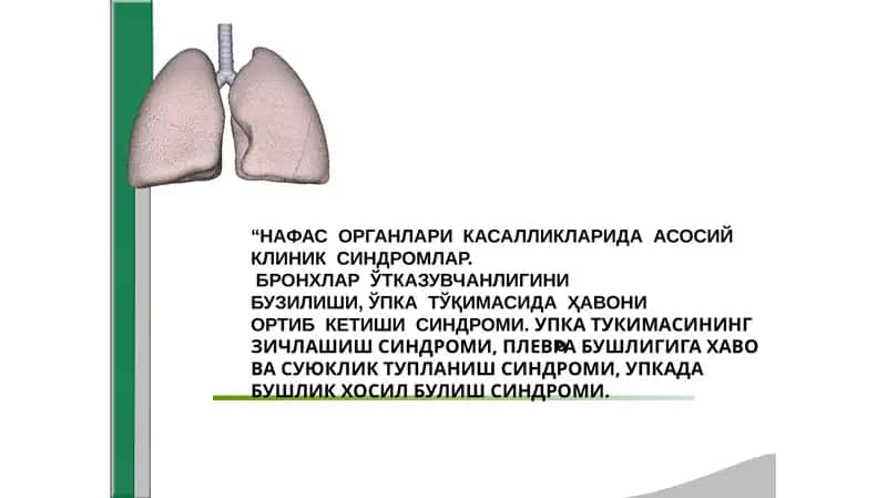 Нафас системаси касалликларидаги асосий клиник синдромлар