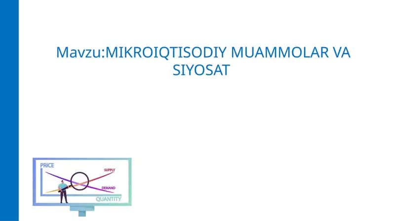 MIKROIQTISODIY MUAMMOLAR VA SIYOSAT