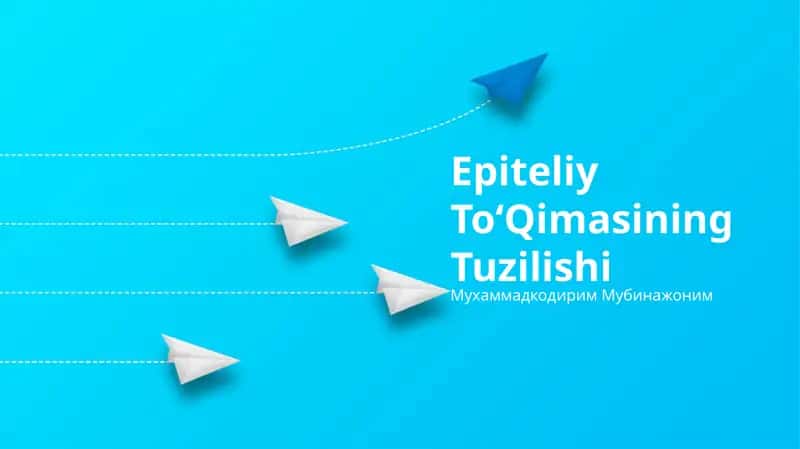 Epiteliy ToʻQimasining Tuzilishi