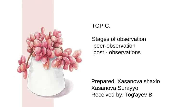 Stages of observation