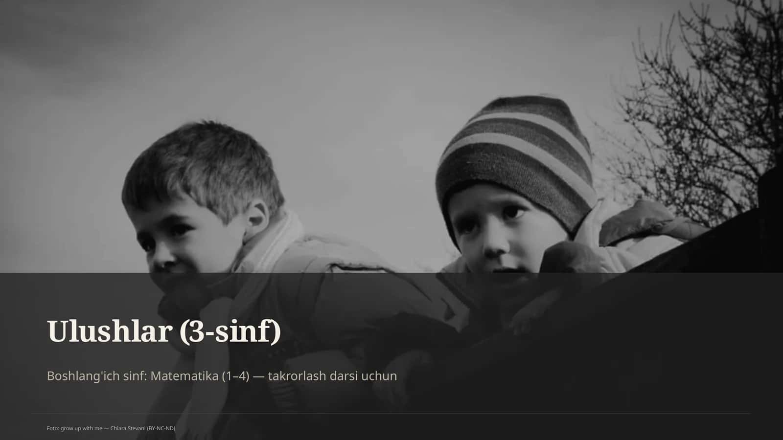 Ulushlar (3-sinf)