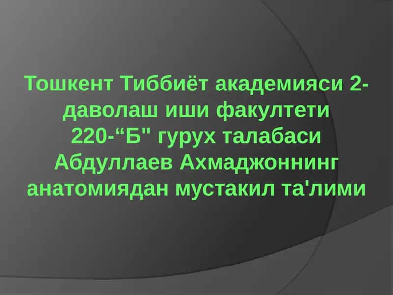 Орқа мия нервлари