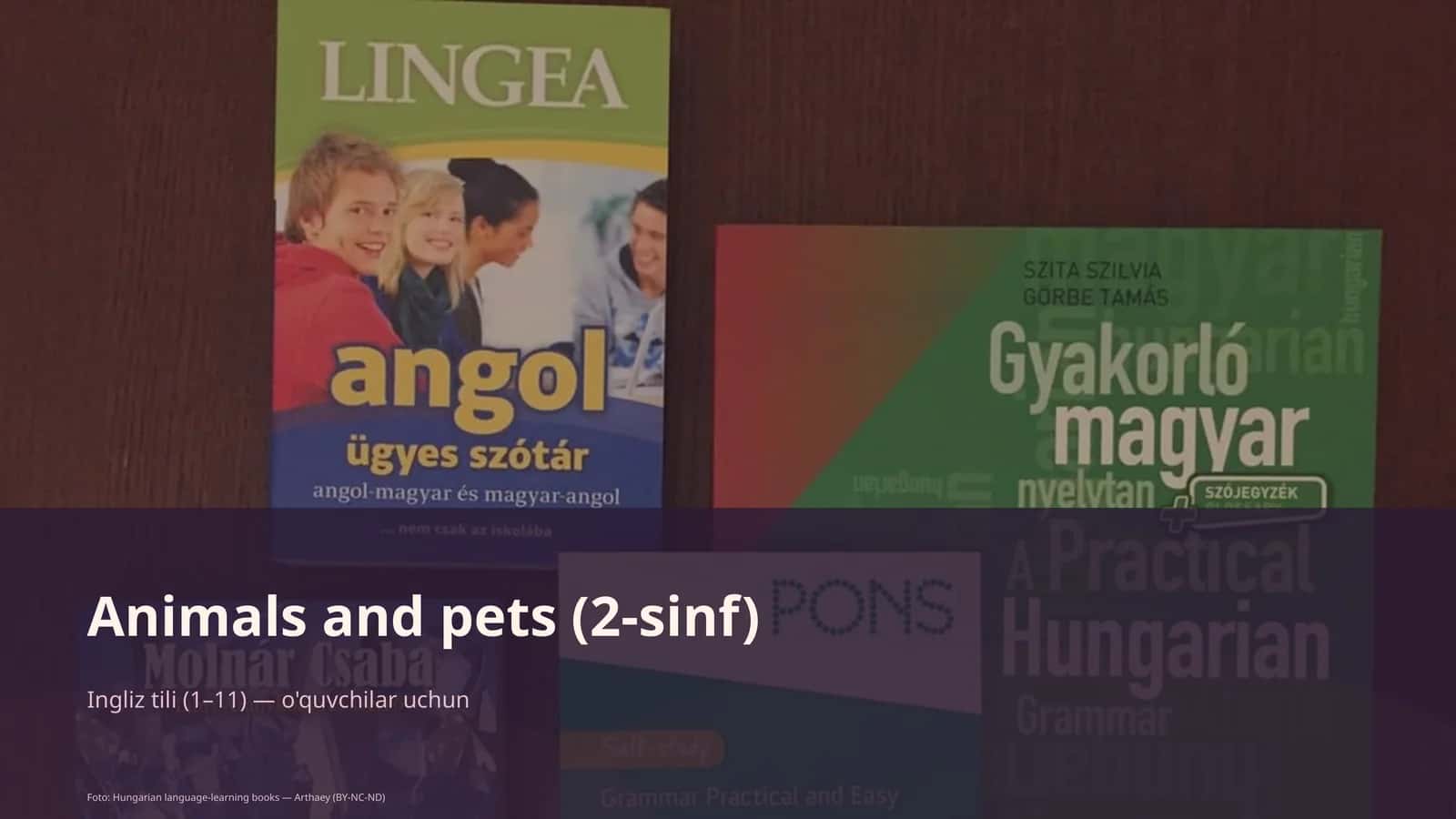 Animals va pets (2-sinf)