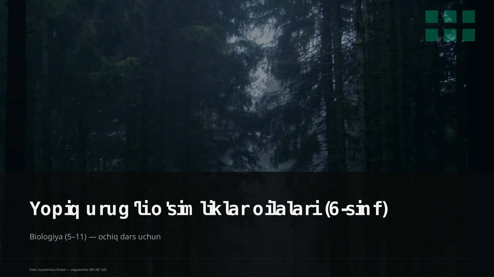 Yopiq urug'li o'simliklar oilalari (6-sinf)