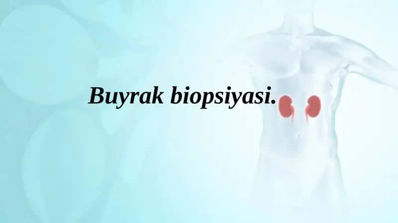 Buyrak biopsiyasi pptx