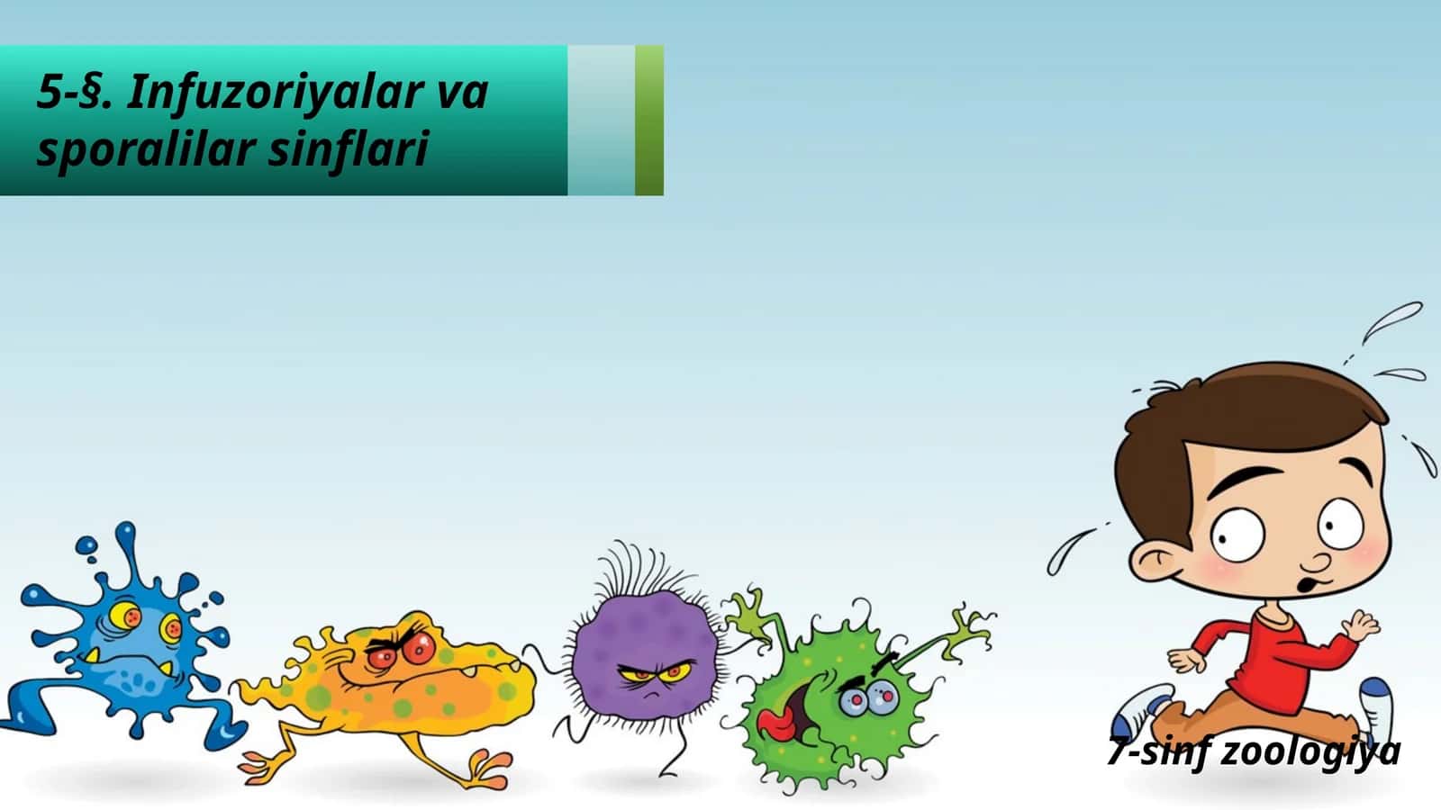 Infuzoriyalar va sporalilar sinflari