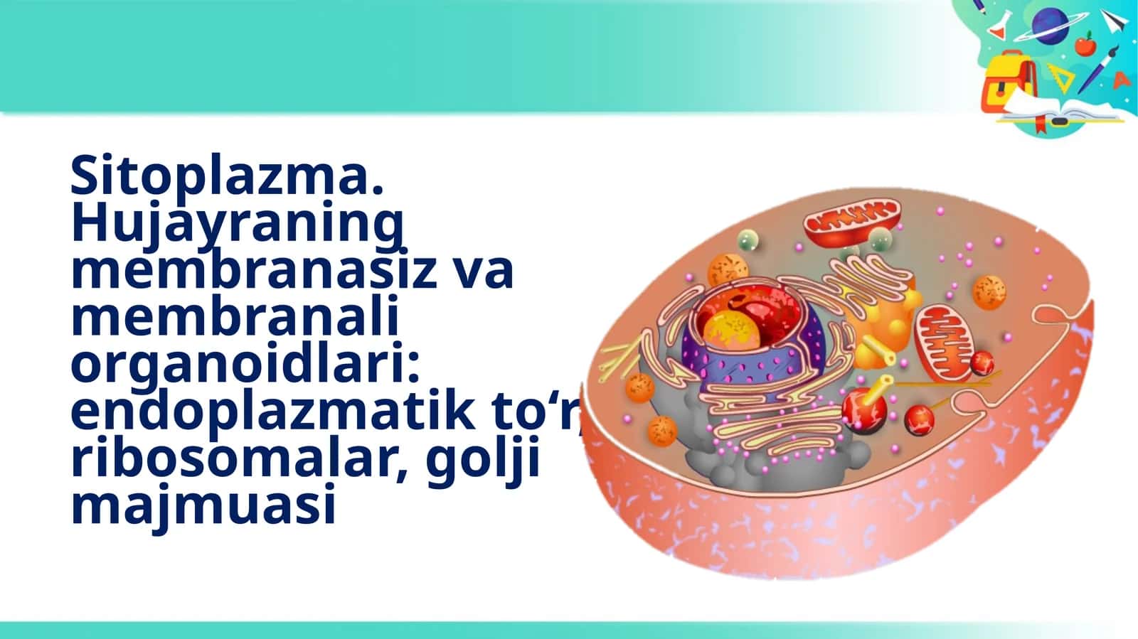 Sitoplazma