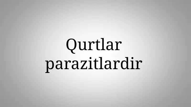 Qurtlar parazitlardir