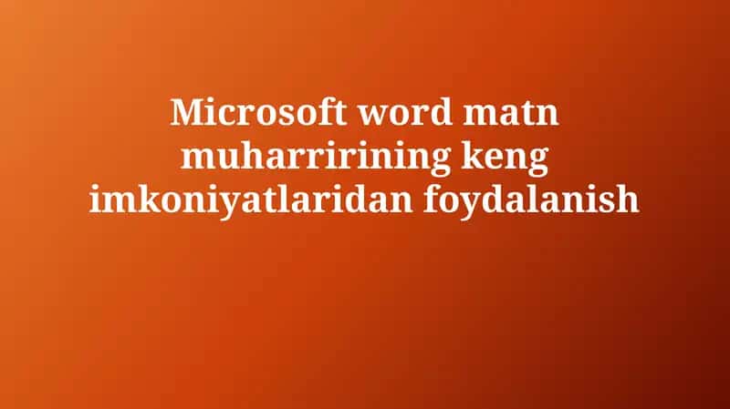 Microsoft Word