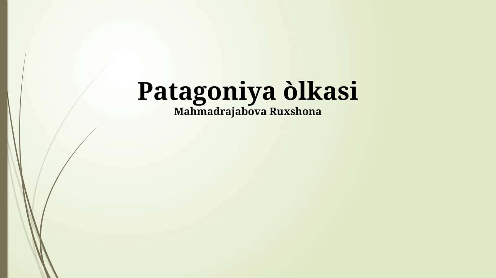 Patagoniya òlkasi