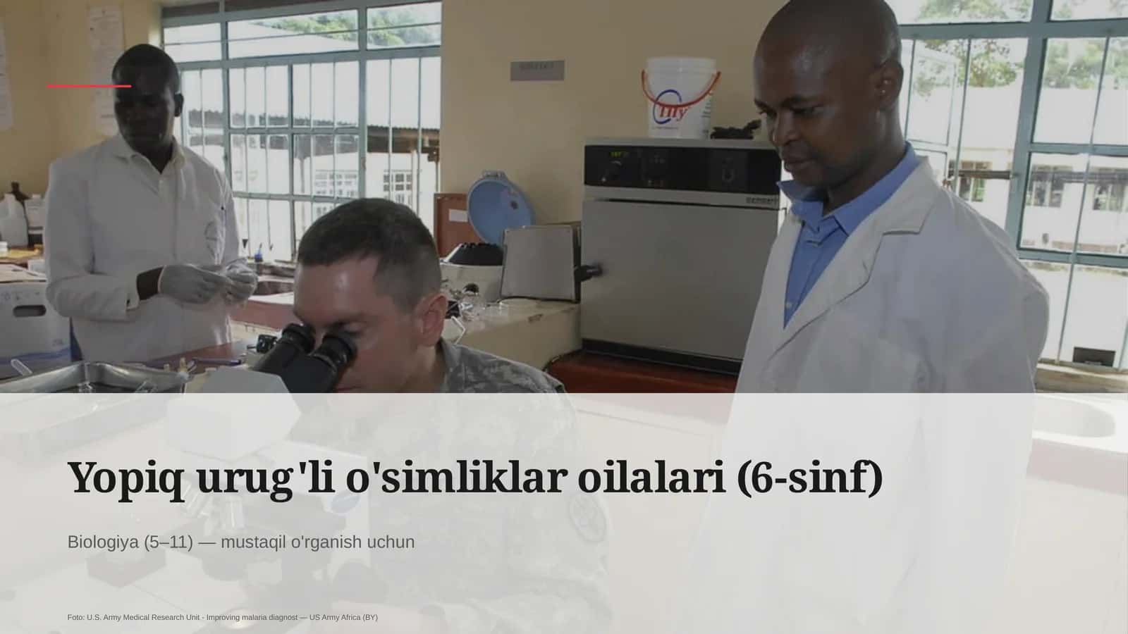 Yopiq urug'li o'simliklar oilalari (6-sinf)