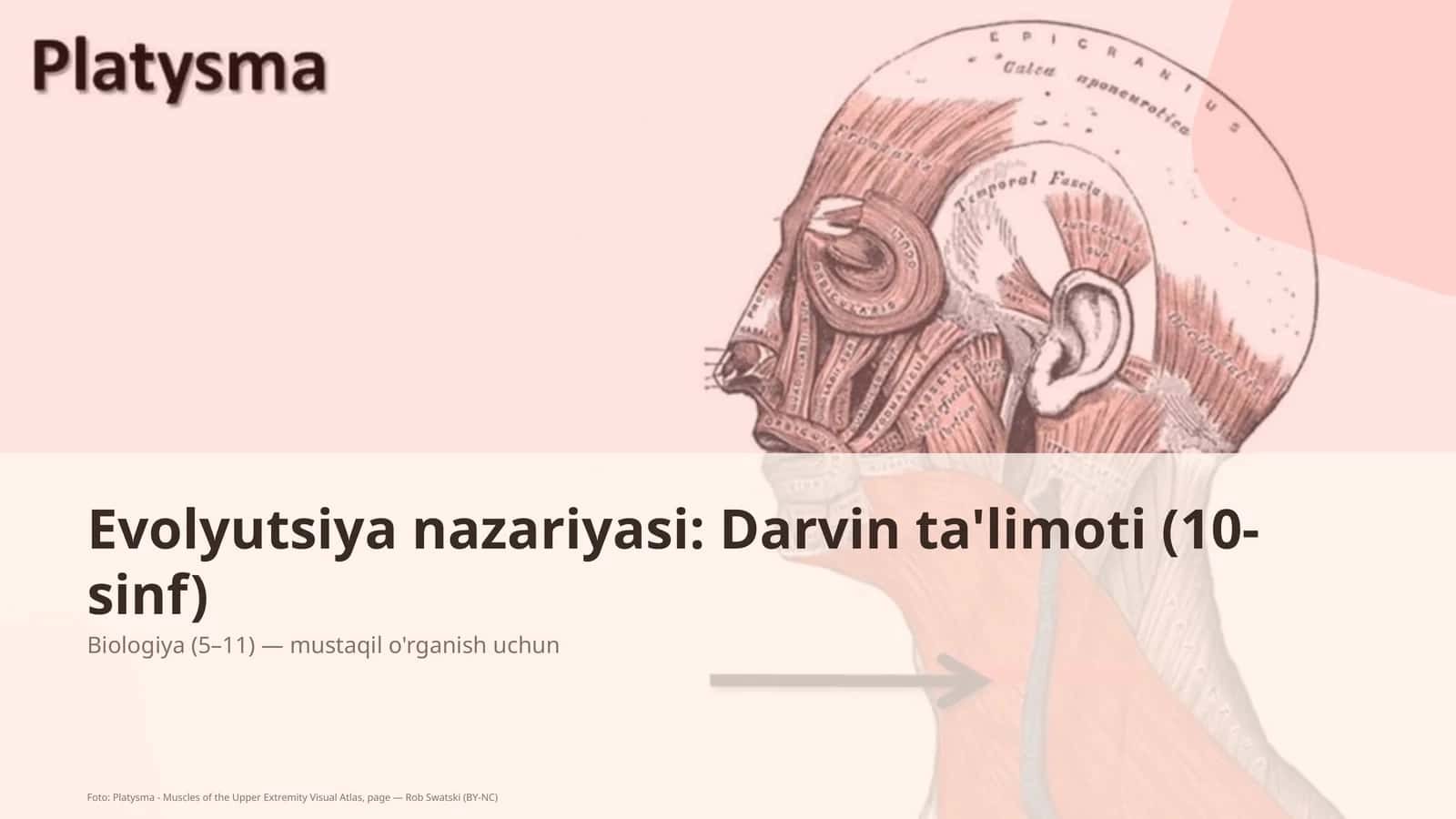 Evolyutsiya nazariyasi: Darvin ta'limoti (10-sinf)