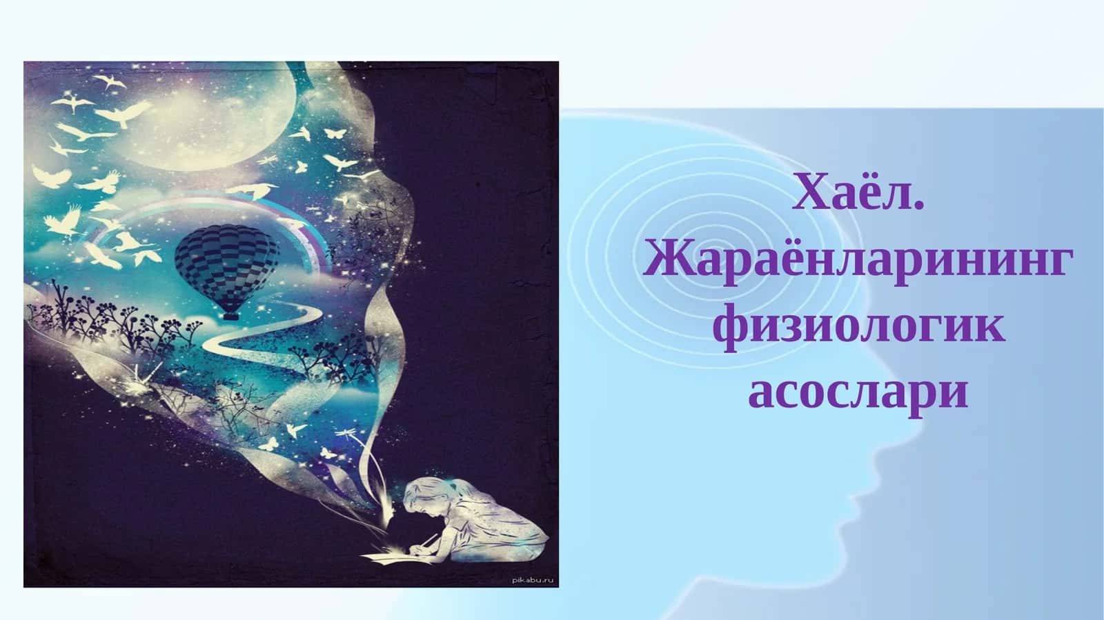 Хаёл. Жараёнларининг физиологик асослари
