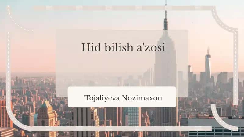 Hid bilish a'zosi
