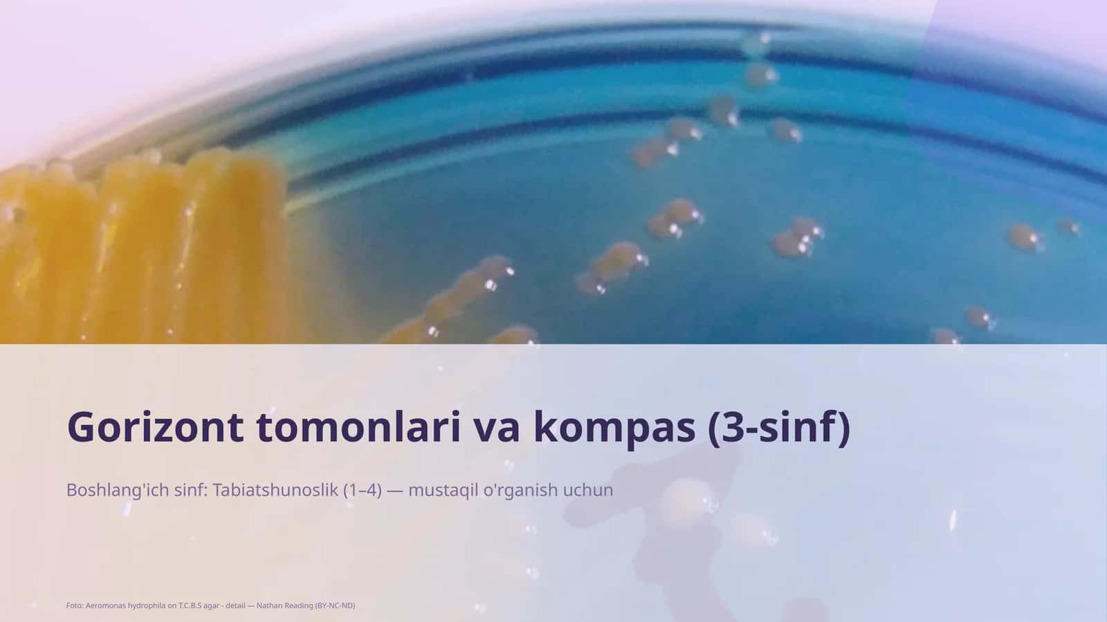 Gorizont tomonlari va kompas (3-sinf)