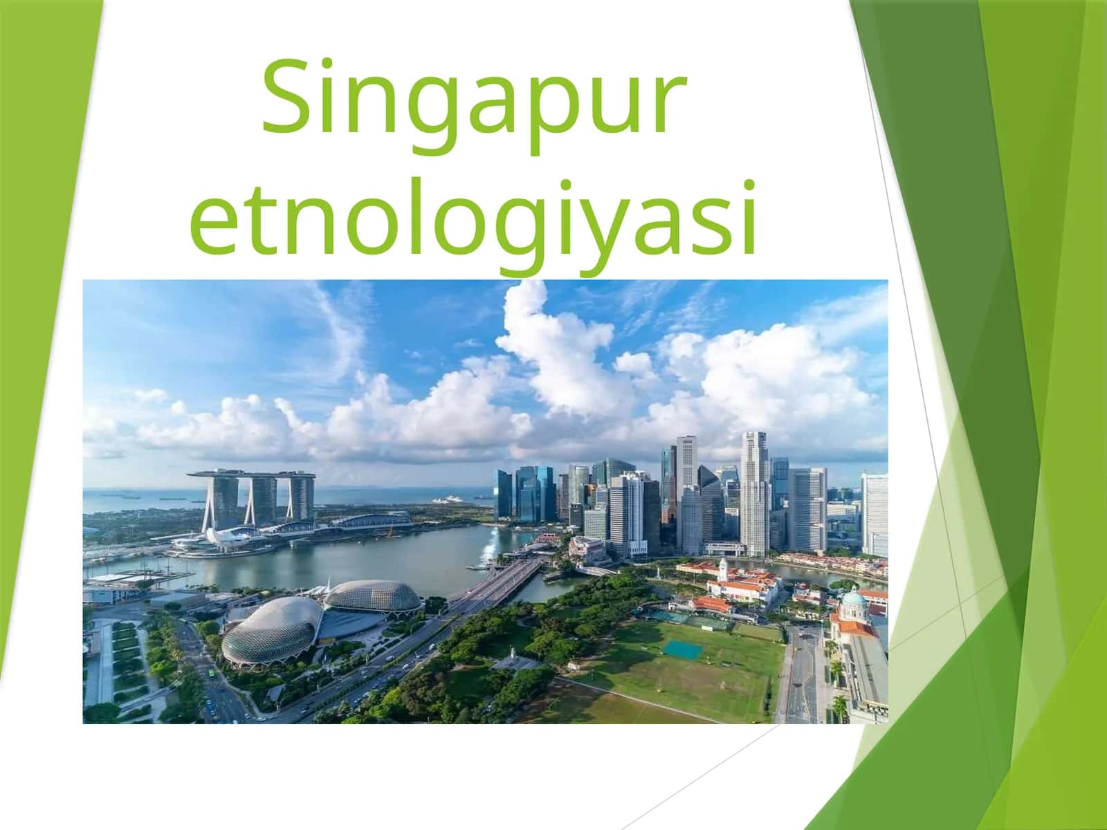 Singapur etnologiyasi