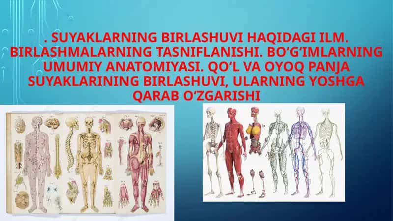 Suyaklarning birlashuvi haqida ilm