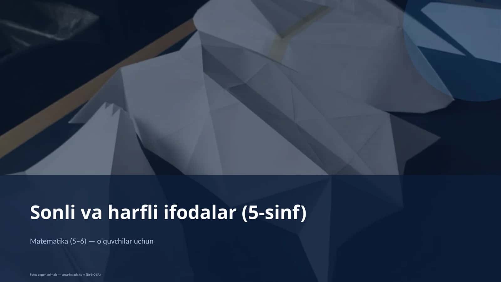 Sonli va harfli ifodalar (5-sinf)