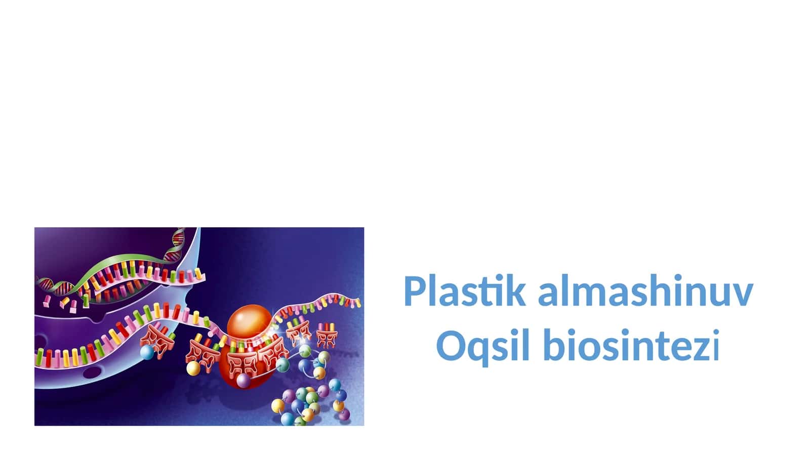 Oqsil biosintezi. Plastik almashinuv