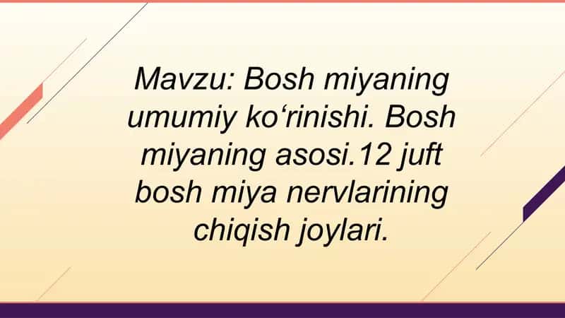 Bosh miya / Ensefalon