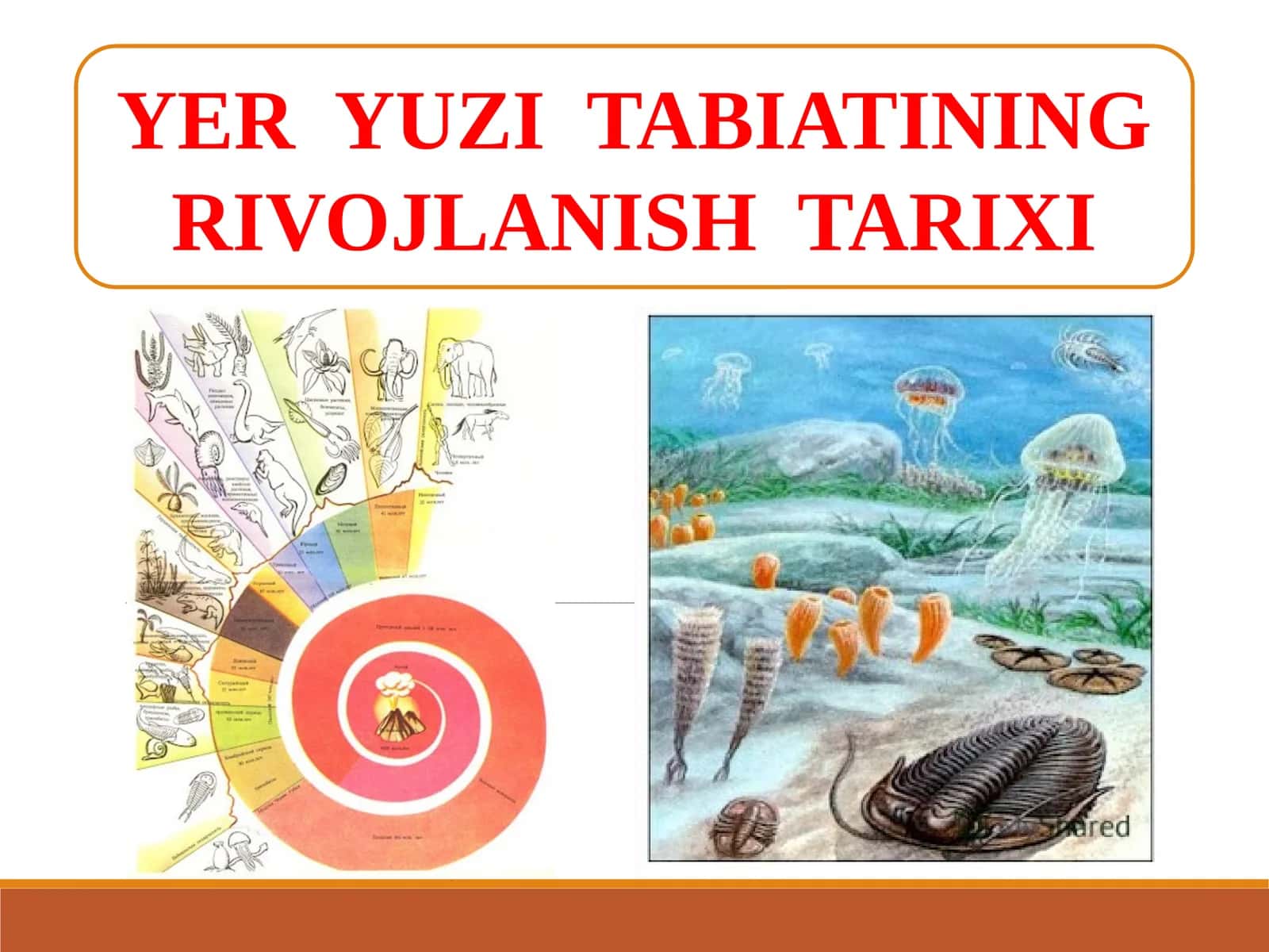Yer yuzi tabiatining rivojlanish tarixi
