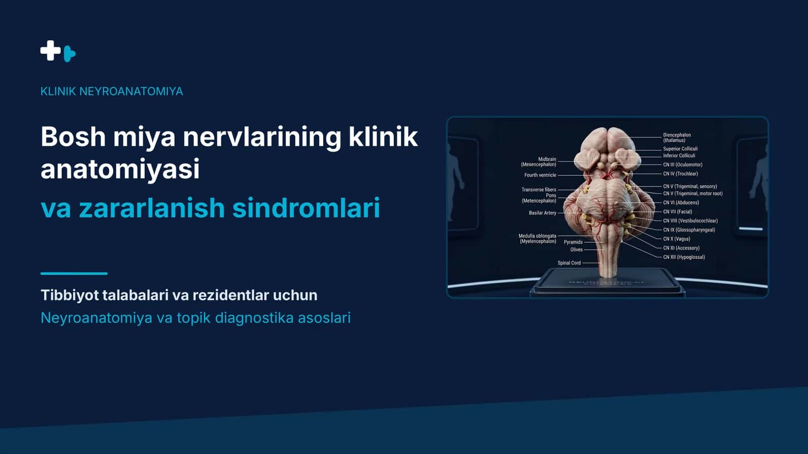 Bosh miya nervlarining klinik anatomiyasi va zararlanishi | 15 slayd