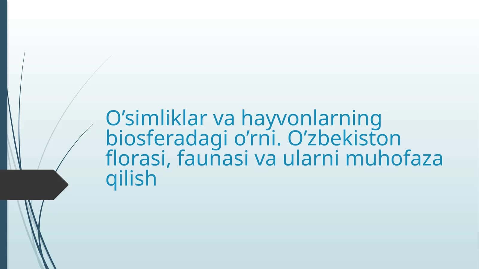 O’simliklarvahayvonlarningbiosferadagio’rni.O’zbekistonflorasi,faunasivaularnimuhofazaqilish