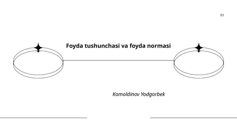 Foyda tushunchasi va foyda normasi