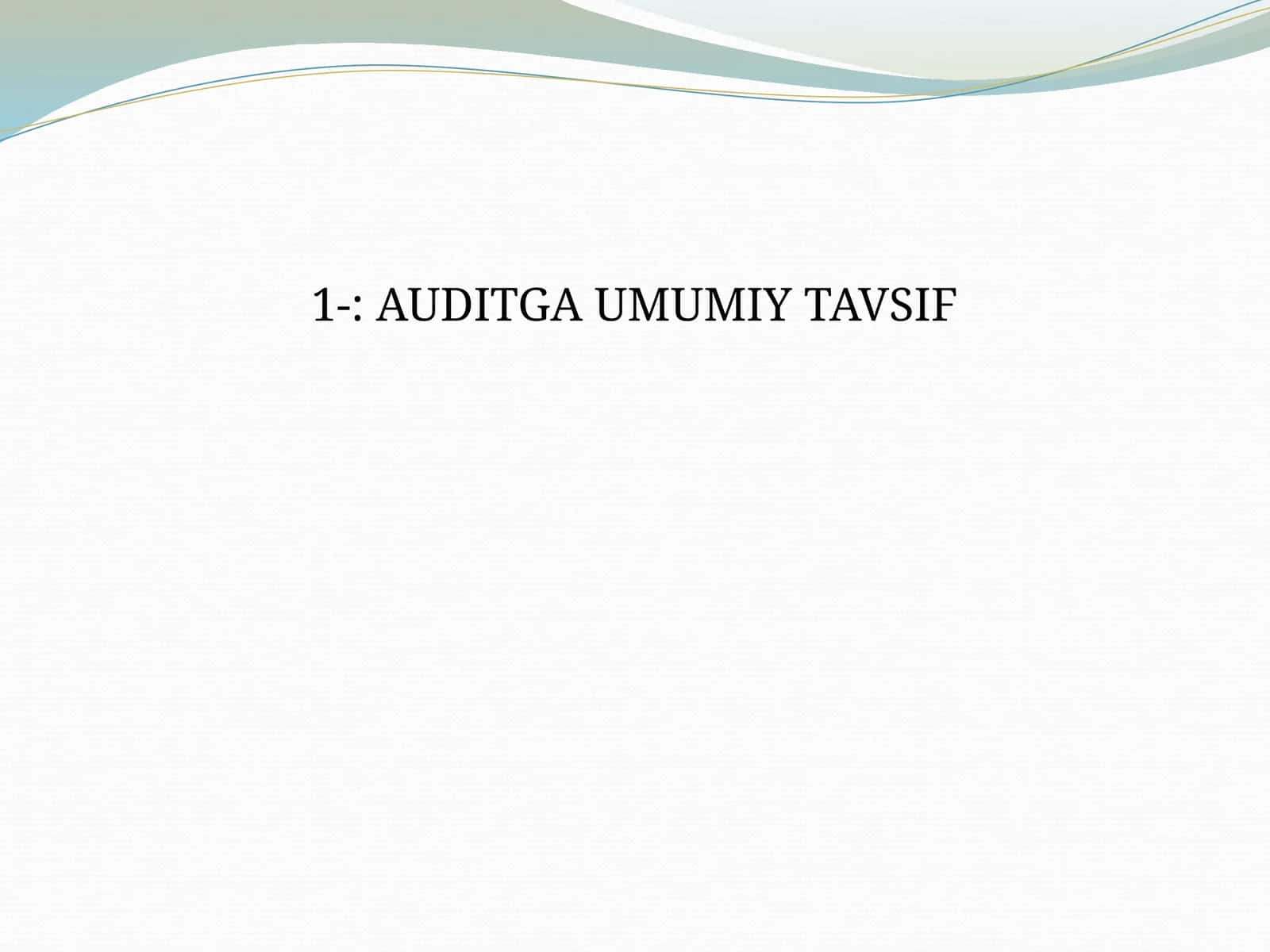 Auditga Umumiy Tavsif