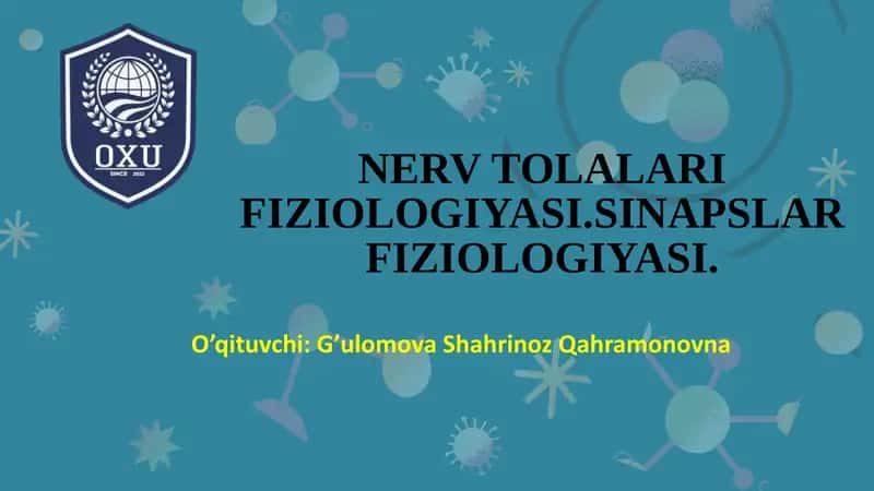 NERV TOLALARI FIZIOLOGIYASI.SINAPSLAR FIZIOLOGIYASI