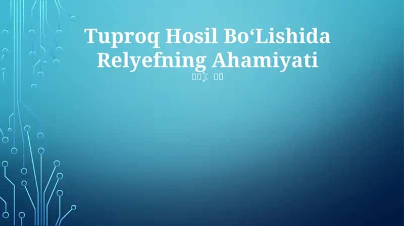 Tuproq Hosil BoʻLishida Relyefning Ahamiyati
